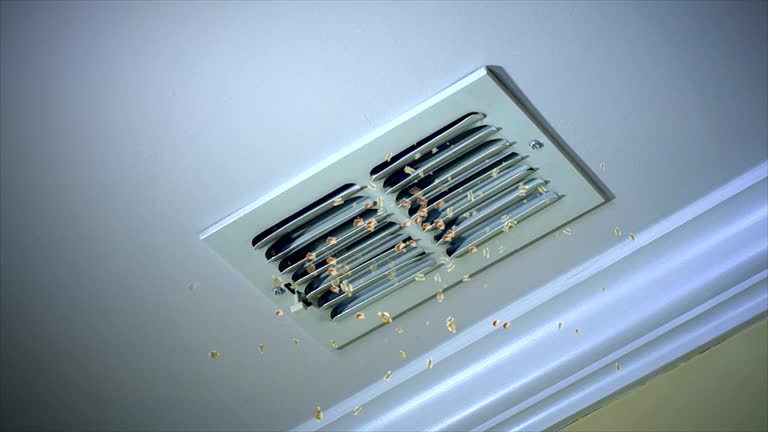 Best Local Air Duct Cleaning Services  in Taylor Mill, KY