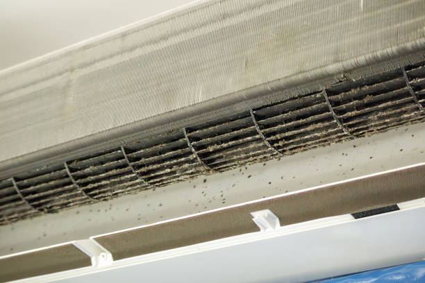 Best HVAC Duct Inspection Services  in Taylor Mill, KY